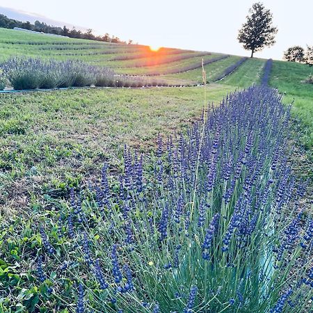La Baita Nei Boschi Vila Serramazzoni Exterior foto