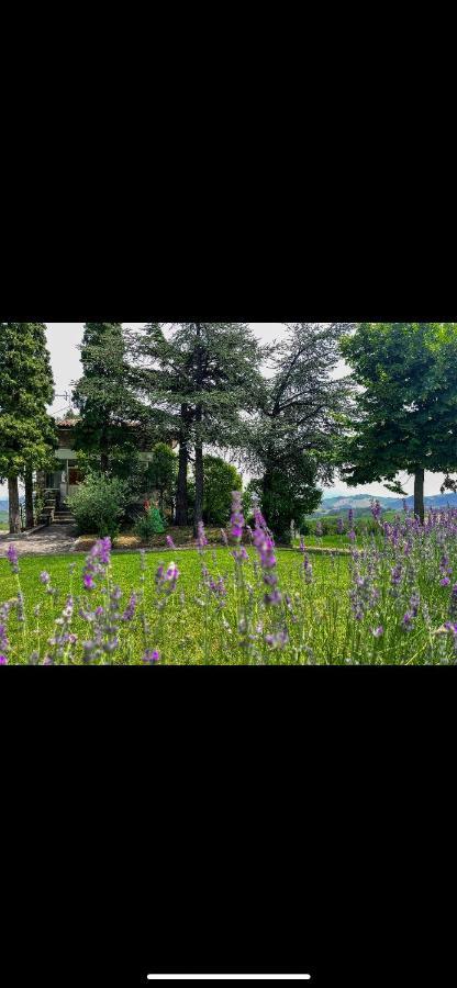 La Baita Nei Boschi Vila Serramazzoni Exterior foto