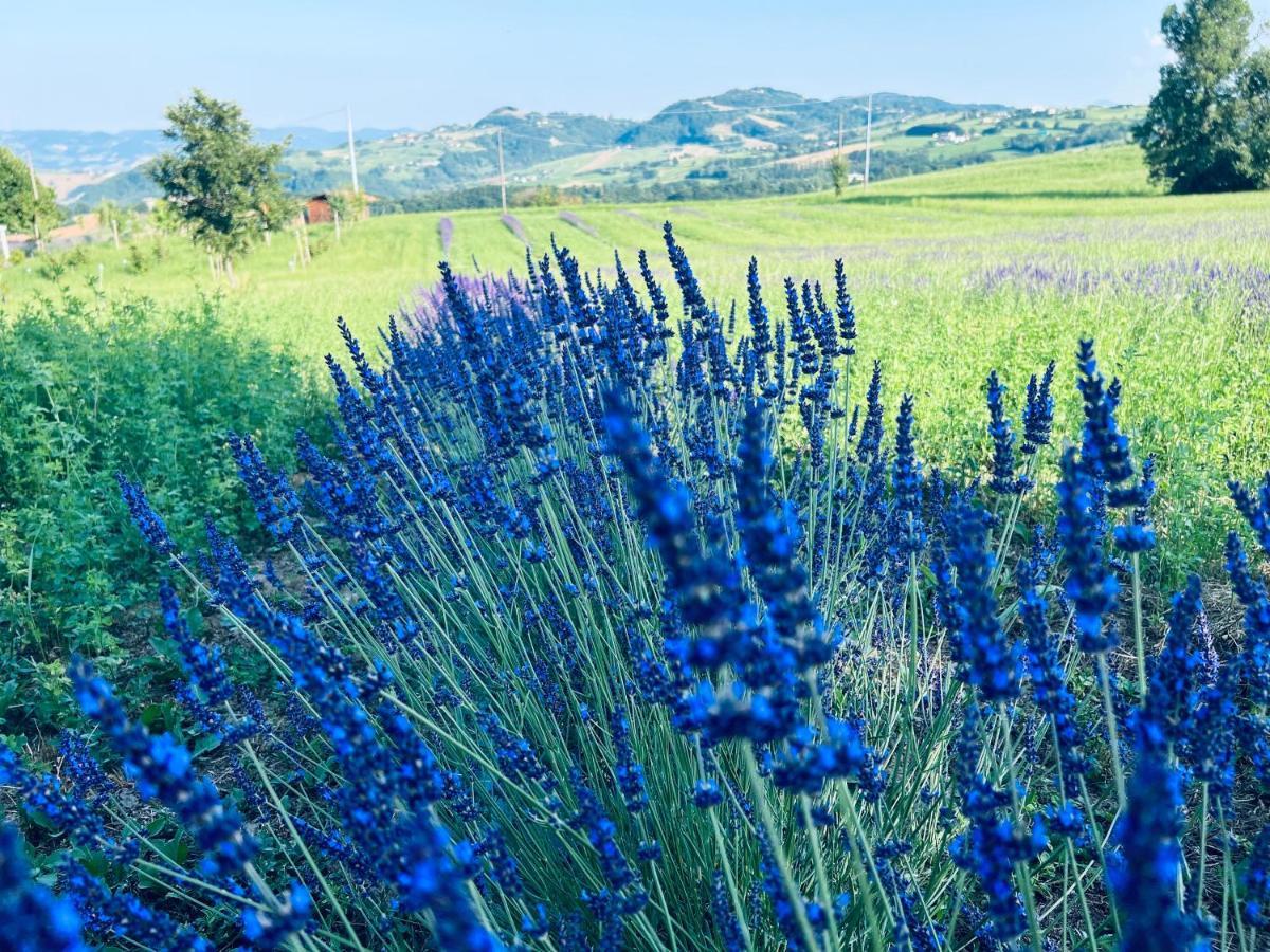 La Baita Nei Boschi Vila Serramazzoni Exterior foto