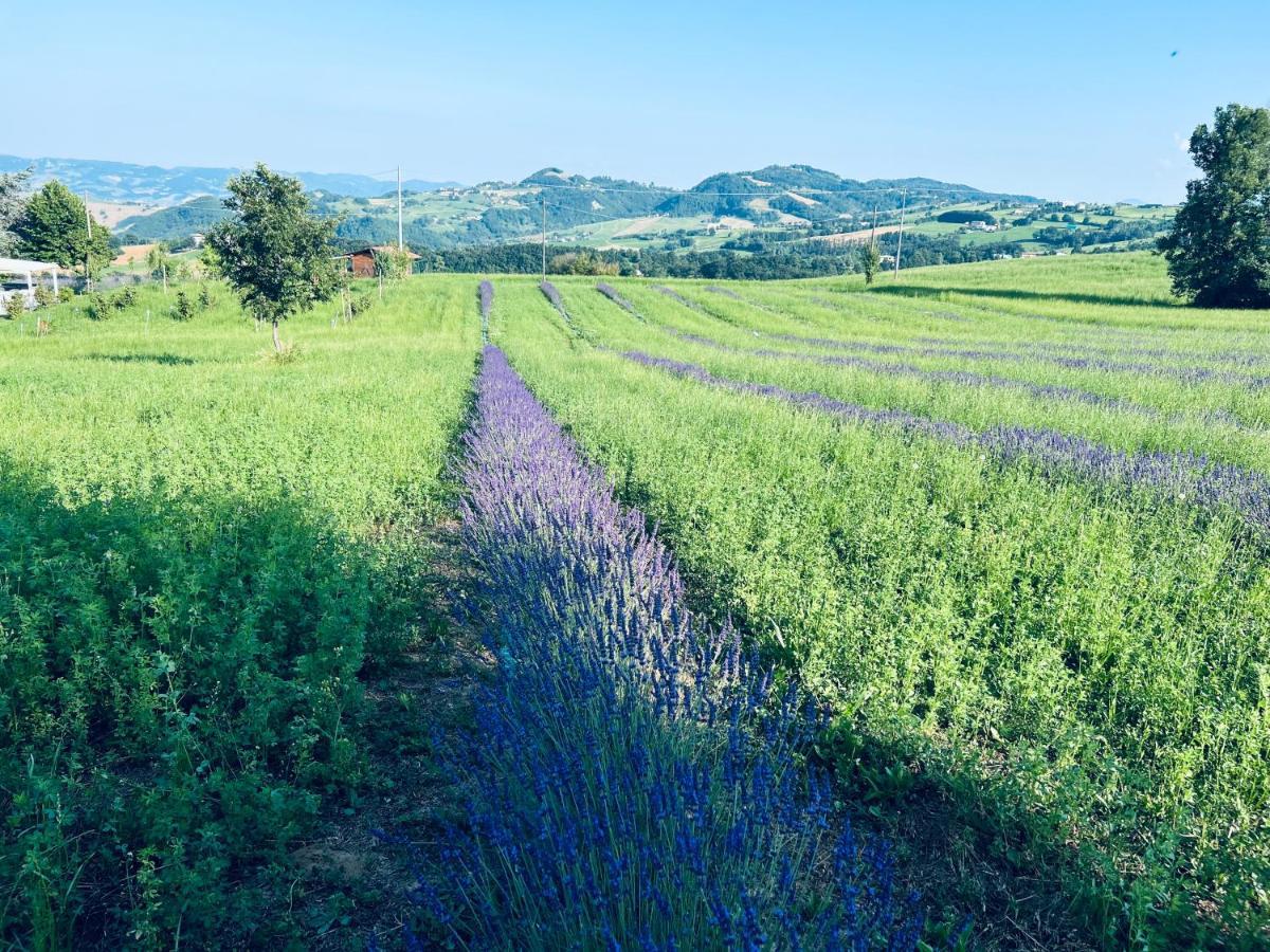 La Baita Nei Boschi Vila Serramazzoni Exterior foto