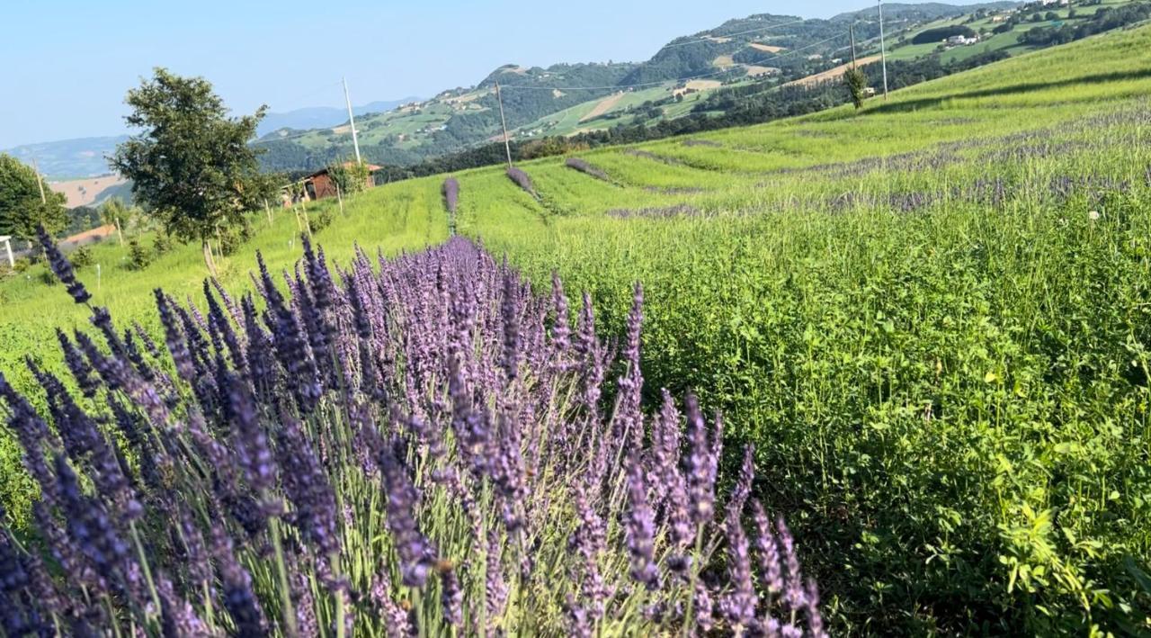La Baita Nei Boschi Vila Serramazzoni Exterior foto