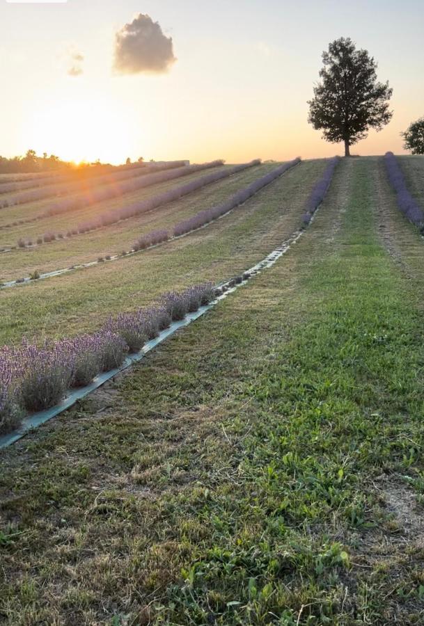 La Baita Nei Boschi Vila Serramazzoni Exterior foto
