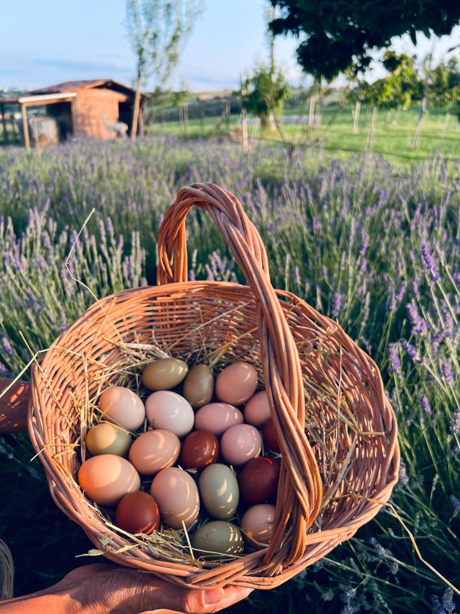 La Baita Nei Boschi Vila Serramazzoni Exterior foto